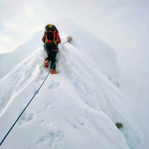 Stinky Chick 2nd Summit